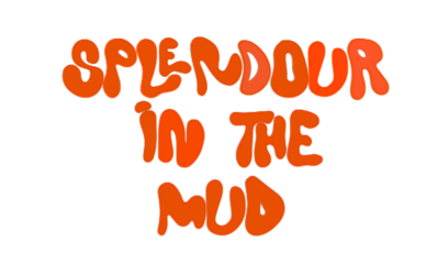 MUD